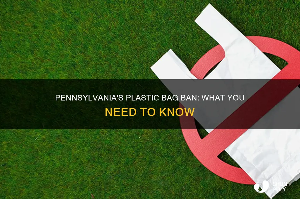 does pa have a plastic bag ban