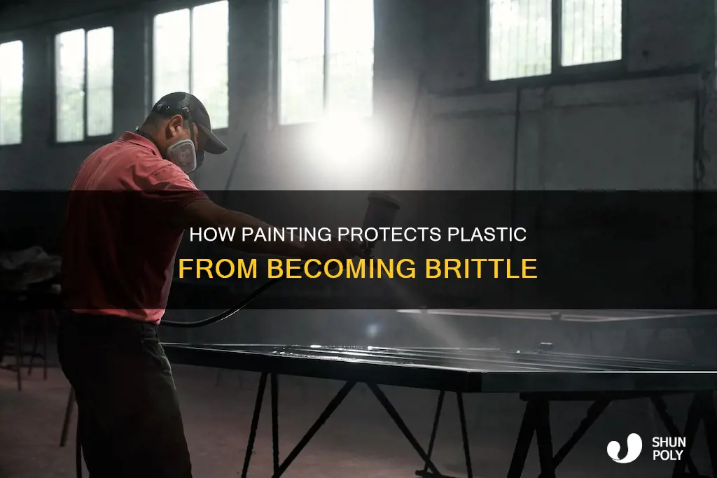 does painting prevent plastic from becoming brittle over time