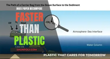 Paper vs Plastic: Which Decomposes Faster?