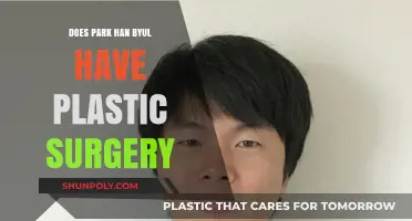 Park Han Byul's Transformation: Plastic Surgery Speculations and Truths