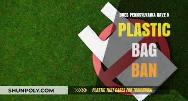 Pennsylvania's Plastic Bag Policy: Understanding the Current Regulations and Bans