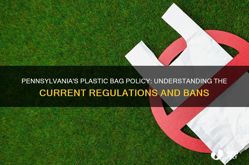 does pennsylvania have a plastic bag ban