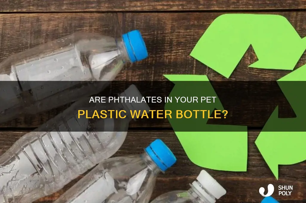 does pet plastic contain phthalates