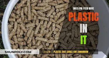 Plastic in Pig Feed: What's the Truth?