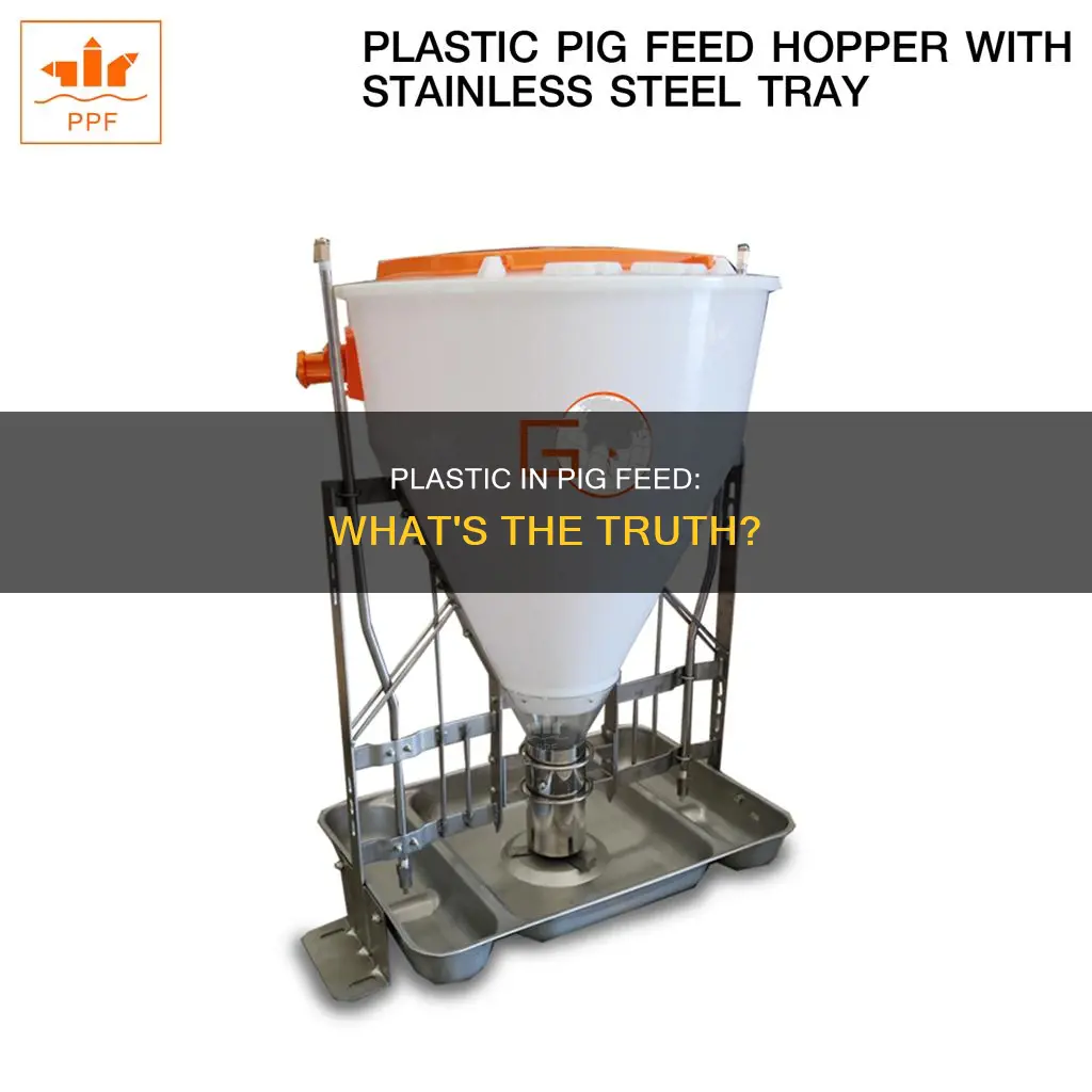does pig feed have plastic in it
