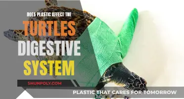 Plastic ingestion: A deadly threat to turtles' digestion