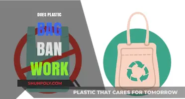 Plastic Bag Bans: Effective Solution or Symbolic Gesture?
