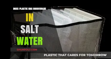 Plastic Bags in Salt Water: Do They Biodegrade or Persist?