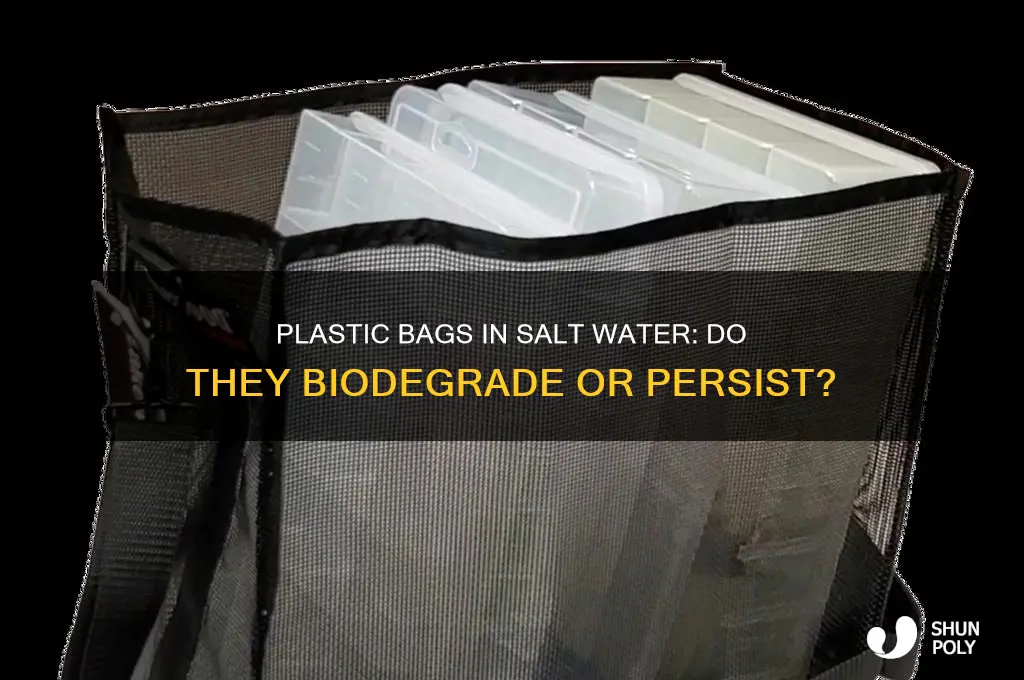 does plastic bag biodegrade in salt water