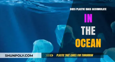 Plastic Bags in the Ocean: Accumulation, Impact, and Solutions Explored