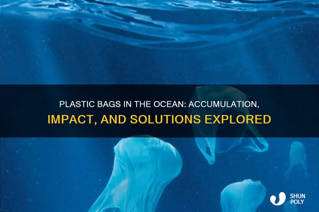 does plastic bags accumulate in the ocean