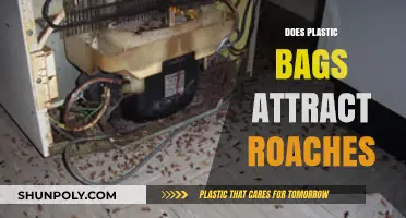 Do Plastic Bags Attract Roaches? Uncovering the Truth and Prevention Tips