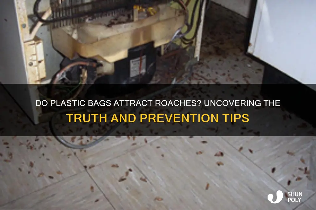 does plastic bags attract roaches