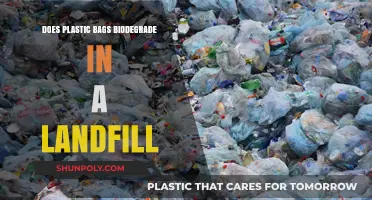 Do Plastic Bags Biodegrade in Landfills? Uncovering the Environmental Truth
