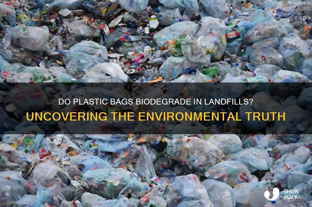 does plastic bags biodegrade in a landfill