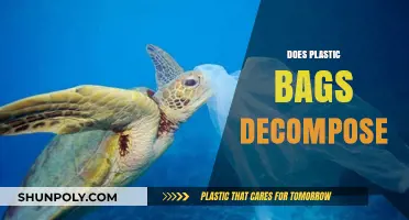 Do Plastic Bags Decompose? Uncovering the Truth About Their Environmental Impact