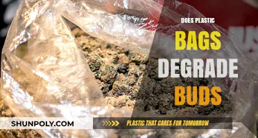 Do Plastic Bags Degrade Bud Quality? Facts and Best Storage Tips