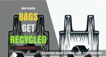 Do Plastic Bags Actually Get Recycled? Uncovering the Truth and Myths