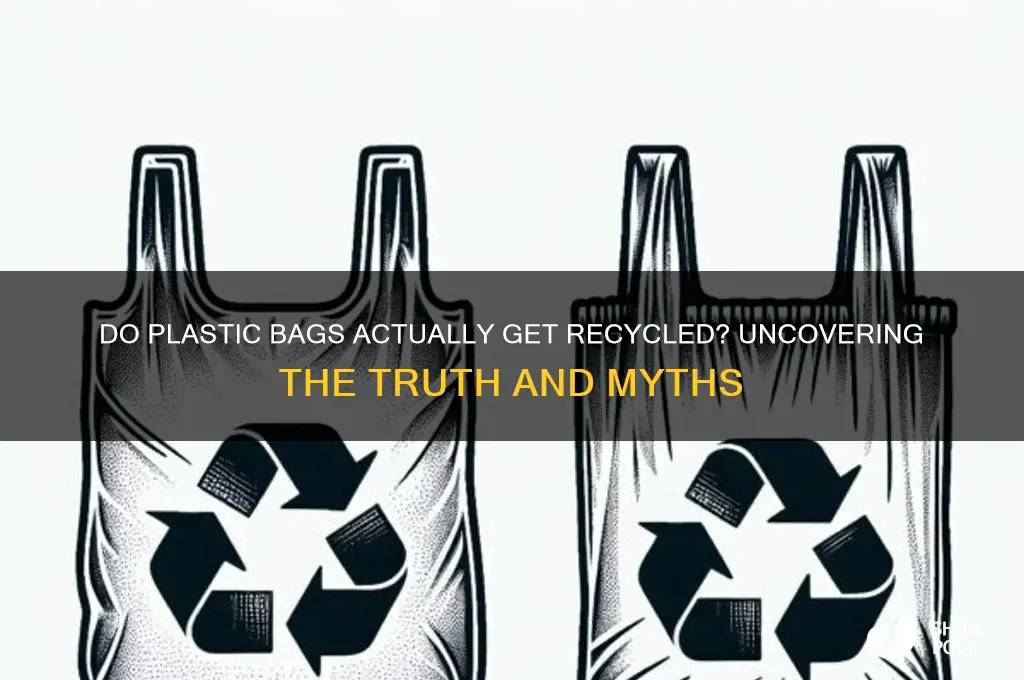 does plastic bags get recycled