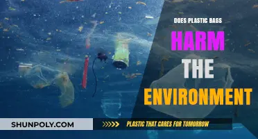 Plastic Bags and Their Environmental Impact: A Comprehensive Analysis