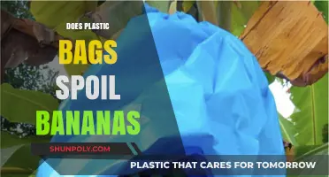 Do Plastic Bags Spoil Bananas? Uncovering the Truth for Fresher Fruit