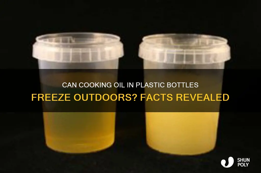 does plastic bottle of oil freeze outside