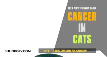 Plastic Bowls: A Cancer Risk for Cats?