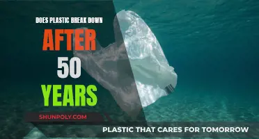 Plastic's Long-Lasting Legacy: Does it Ever Truly Break Down?