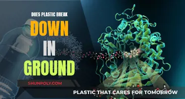Plastic Breakdown: What's Happening Underground?