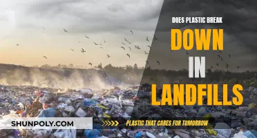 Plastic Breakdown in Landfills: The Truth Revealed