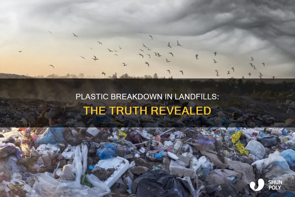 does plastic break down in landfills