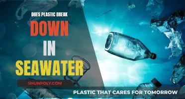 Plastic in Seawater: Does it Break Down?