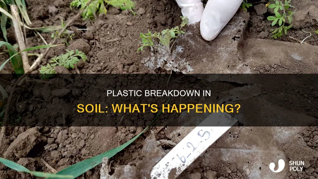 does plastic break down in soil