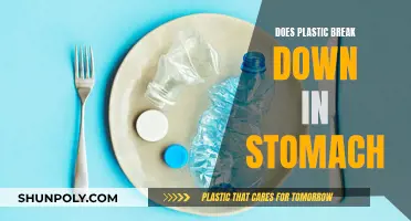 Plastic Breakdown in Stomach: What's the Truth?