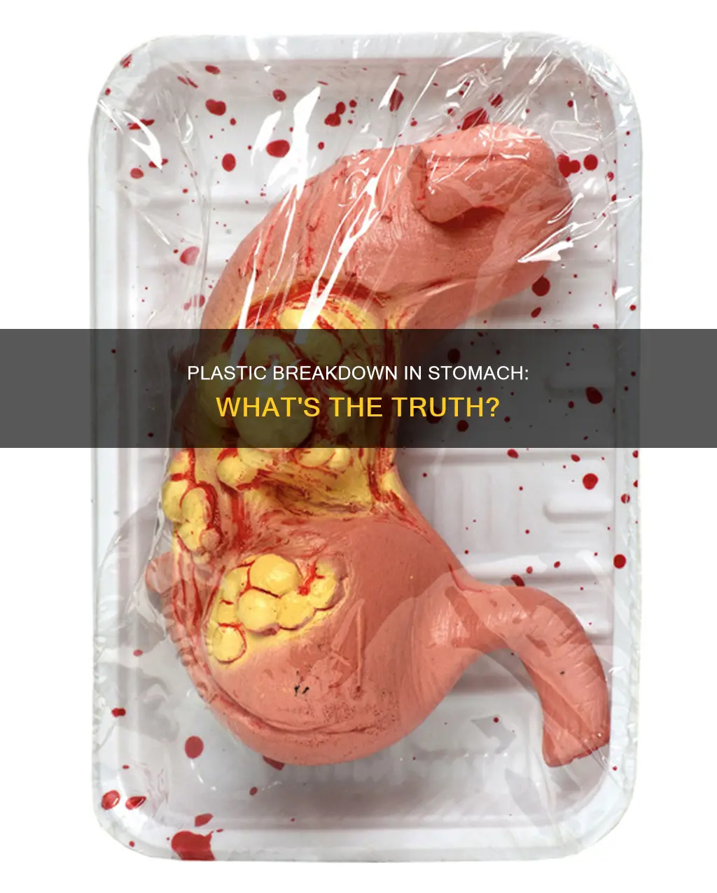 does plastic break down in stomach