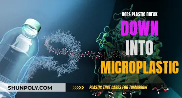 Plastic Breakdown: Microplastics and the Environment