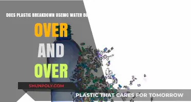 Reusing Water Bottles: Does Plastic Breakdown Over Time?