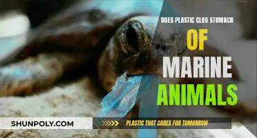 How Plastics Harm Marine Life