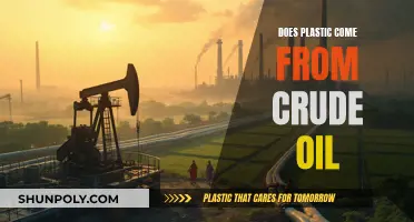 The Plastic-Oil Connection: An Unlikely Alliance