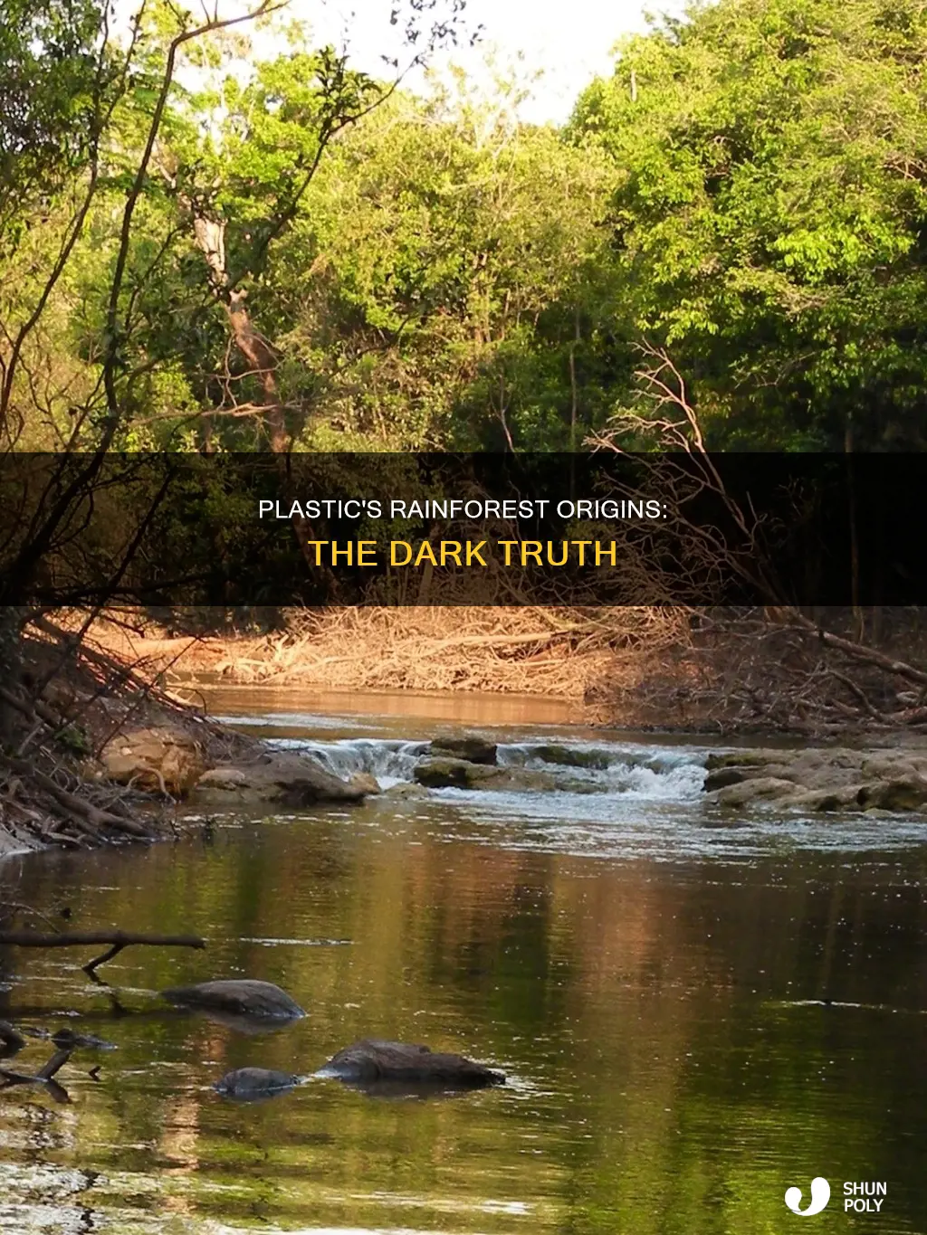 does plastic come from the rainforest