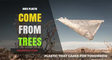 Unveiling the Truth: Does Plastic Really Come from Trees?