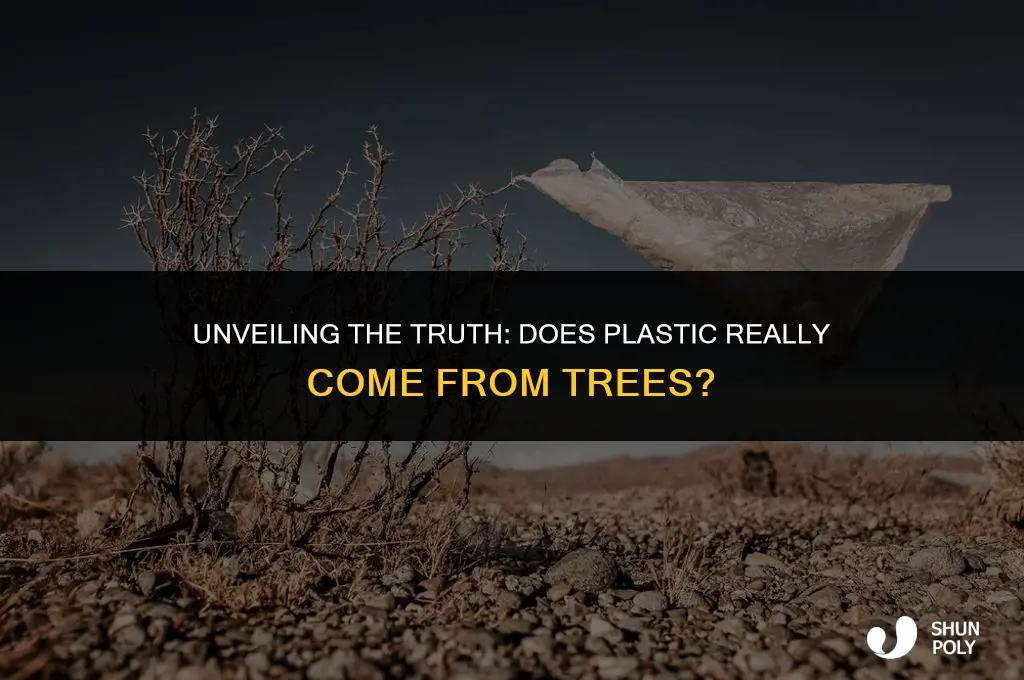 does plastic come from trees