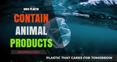 Vegan Plastics: Animal-Free or Not?