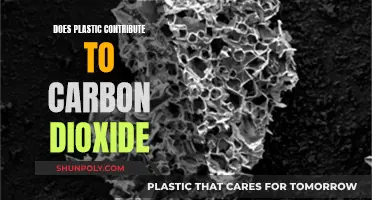 Plastic's Carbon Dioxide Impact: What's the Truth?