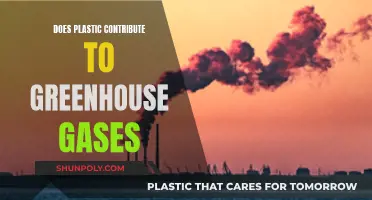 Plastic's Impact: Greenhouse Gas Emissions and Climate Change