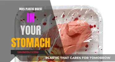Plastic in Stomach: Digestion or Danger?