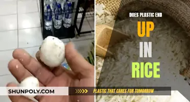Plastic in Rice: How Does It Get There?