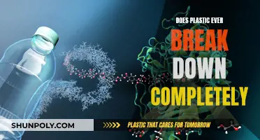 Plastic Breakdown: Does It Ever Truly Disappear?