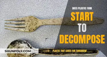 Plastic Forks: Do They Ever Decompose?