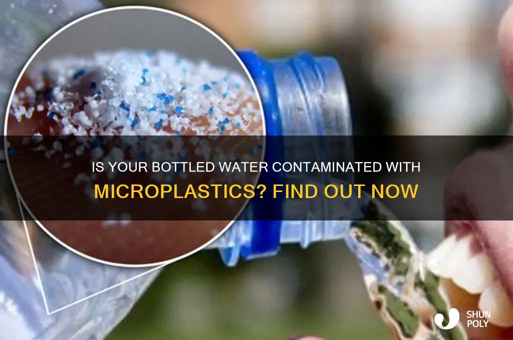does plastic get into bottled water